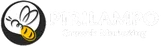 Pirilampo Growth Marketing